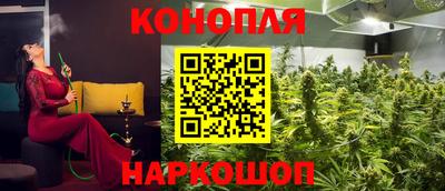 spice Пугачёв