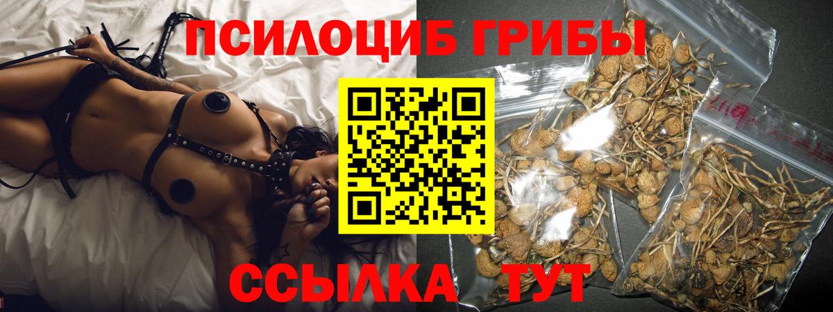 Галлюциногенные грибы GOLDEN TEACHER  Вход с VPN  Псилоцибиновые грибы ЛСД  Приморско-Ахтарск 
